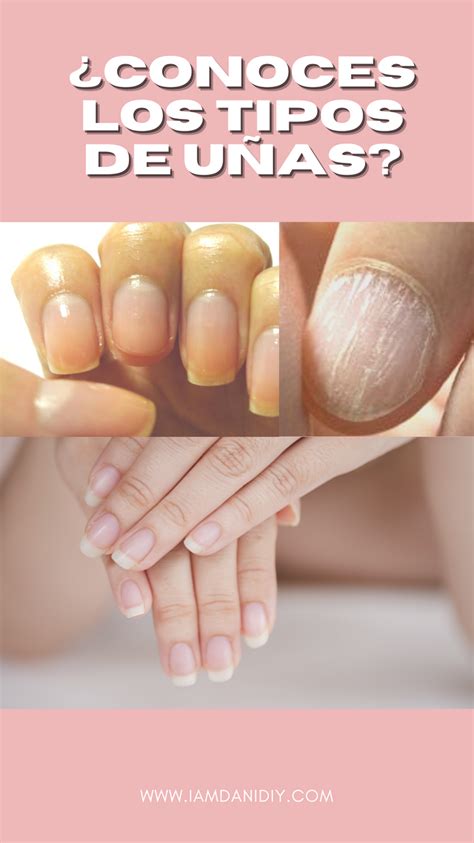 Tipos de UÑAS | Tipos de uñas, Formas de las uñas, Manicura de uñas