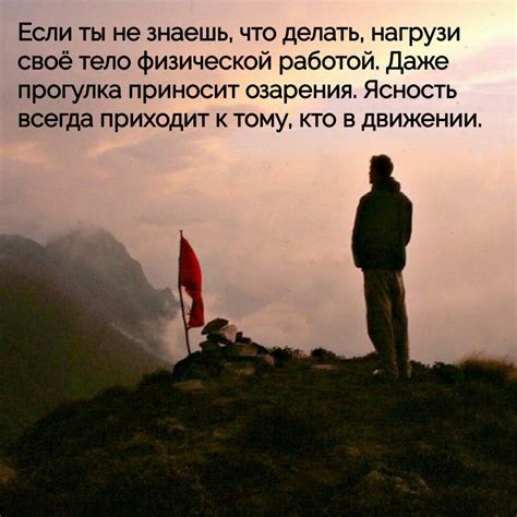 #ясность приходит к тому кто в движении | Вдохновляющие цитаты, Мысли ...