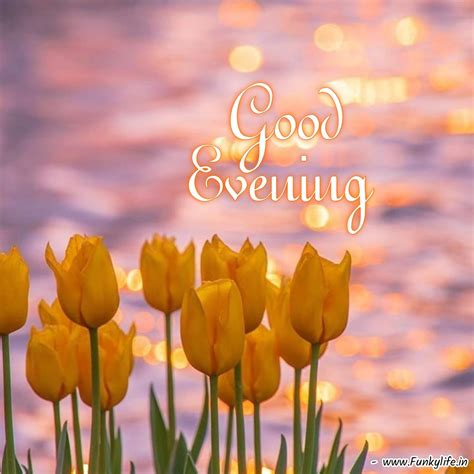 good evening  good evening wishes evening pictures   smile   happy