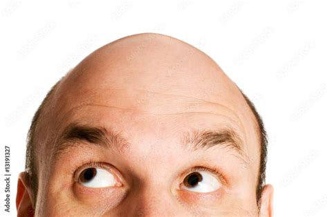 bald head isolated stock photo adobe stock