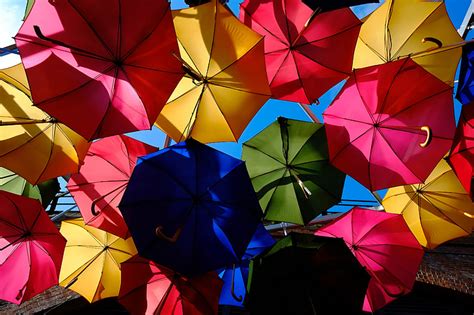 Royalty-Free photo: Colorful umbrellas in the rain | PickPik