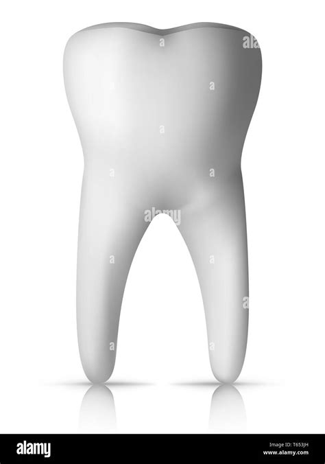 Molar tooth hi-res stock photography and images - Alamy