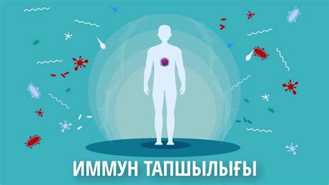 АИТВ - YouTube
