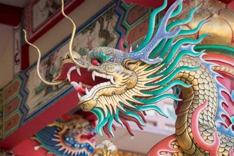 chinese dragon fish stock  pictures royalty  images istock