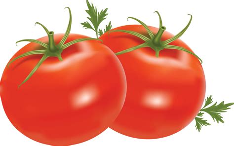 tomato png image picture  transparent hq png  freepngimg