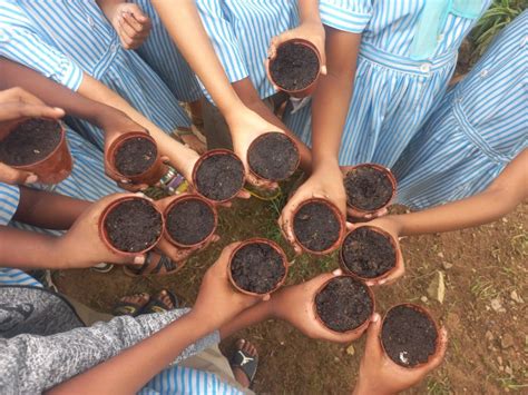 Sibusisiwe (Sibu) Sibiya on LinkedIn: #educationalgardenfriday ...