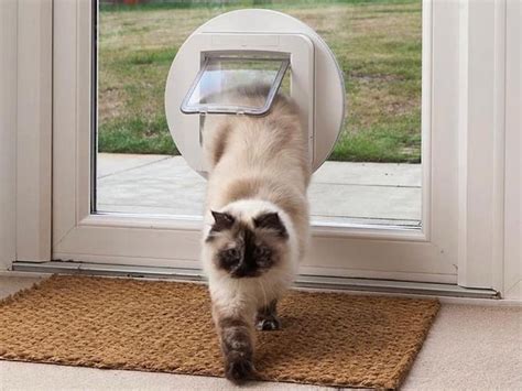 katden cat flap