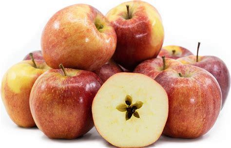 produce explained  types  apples     pantry yahoo