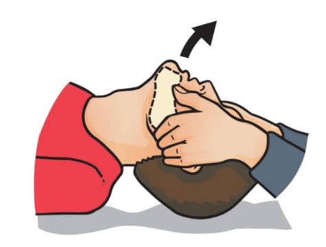 adult cpr aed adult airway firstaidweb certifications