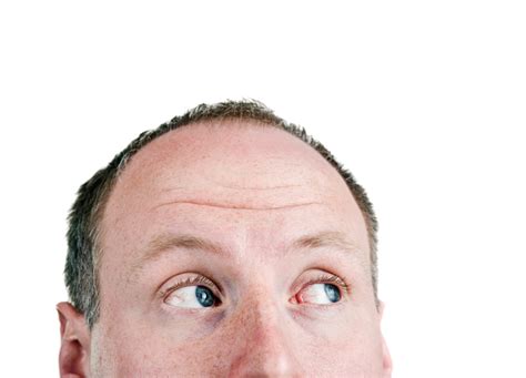 Basic+ Word of the Day – WordReference Word of the Day