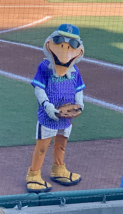 Buying myrtle beach pelicans tickets early gets you field access 23