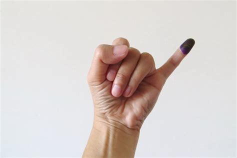 berita ungu terbaru hari  national geographic