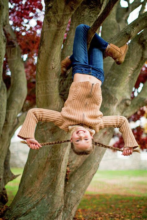 Smiling girl hanging upside-down in tree - Stock Photo - Dissolve