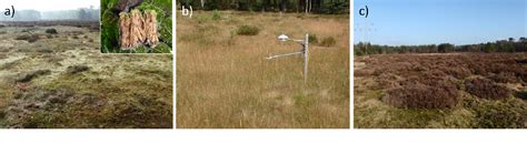 Figure 1 from Quantifying energy and water fluxes in dry dune ...