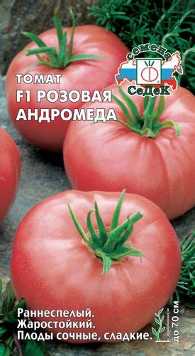 томаты, помидоры Розовая Андромеда F1 гибрид семена, фото, описание ...