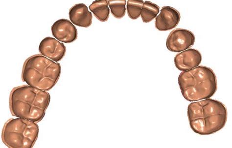 Smooth models of the molar tooth covered with polygons: full ...
