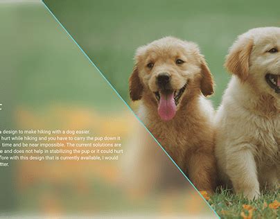 black ribun design behance