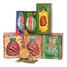 Ringing Cedars of Russia - THE EARTH online newspaper - NOVEMBER 2008 ...