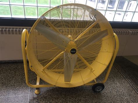 Behold my BIGGEST FAN!! : r/pics