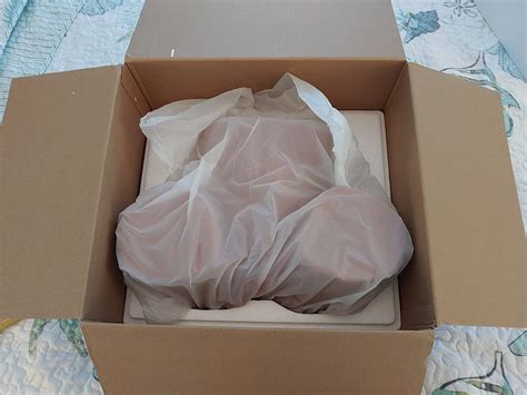 $42/mo - Finance TANTALY 23.1LB Sex Doll Men Sex Toys Realistic Big ...