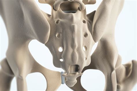 4 Vestigial Structures Found in Humans