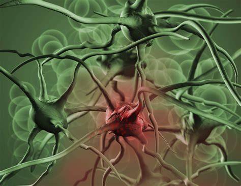 Nanopartículas que eliminan células cancerígenas, El Siglo de Torreón