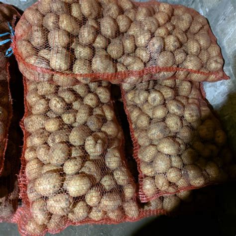 Продам картошку, купити картошку — Agro-Ukraine