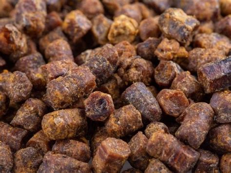 ari ekmegi nedir faydalari nelerdir ari ekmegi ne demek