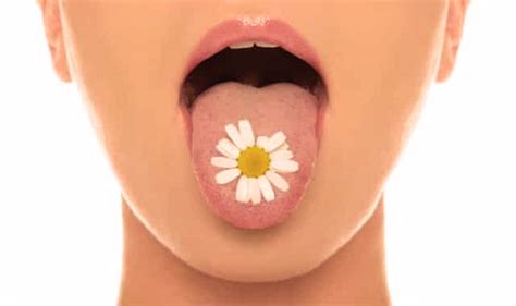 Мышечные зажимы