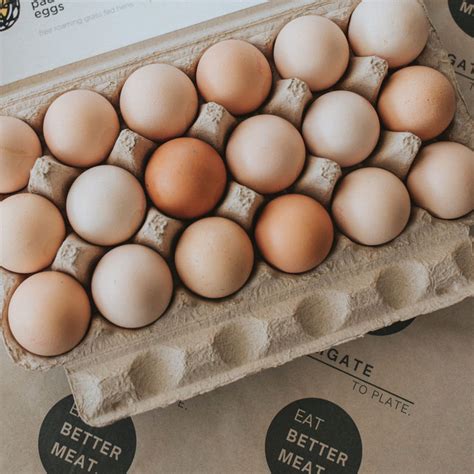 Holbrook Pastured Eggs – True Free Range, Low-Stocking Density Eggs