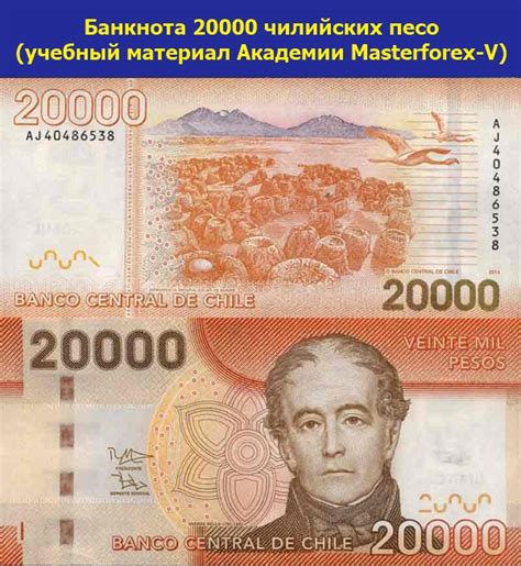 Банкноты (купюры) Чили в фокусе Masterforex-V
