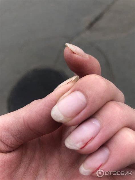 Отзыв о Студия маникюра City Nails (Россия, Москва) | Хамство и ...