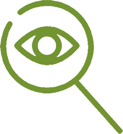 visibility litmus solutions