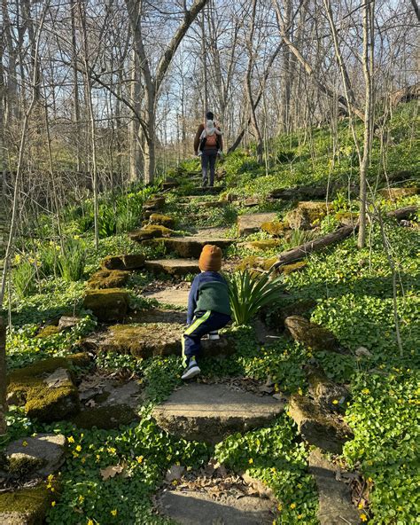 Jordan Kingsley (@jordantkingsley) • Instagram photos and videos