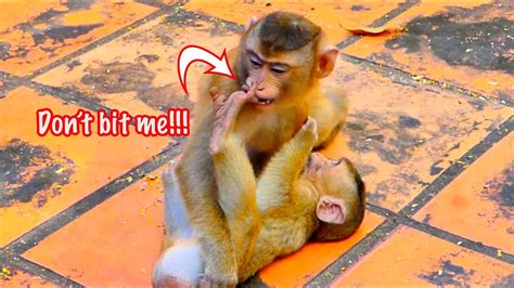 So hot..! Saba can't protect himself from his brother Saro. - YouTube
