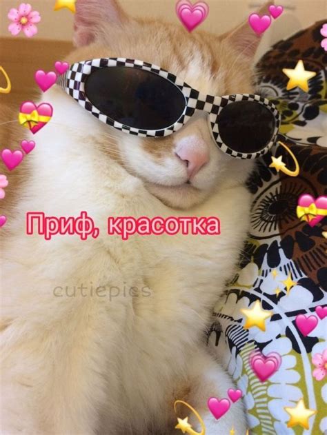 Pin di Вероника su любовные мемы