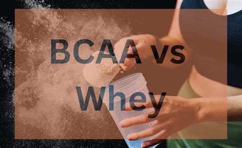 BCAA vs Whey Protein: Which is better for muscle recovery?