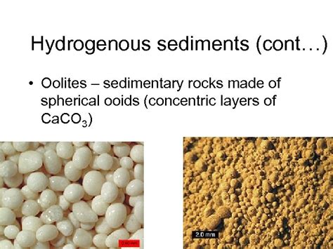 marine sediments cbgs