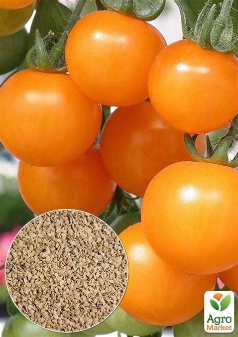 На развес Томат "Черри оранжевый" ТМ "Весна" цена за 1г купить почтой в ...