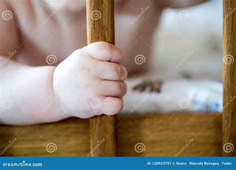 Small newborn baby hands stock image. Image of small - 120923797