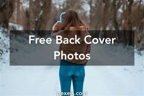 beautiful  cover  pexels  stock