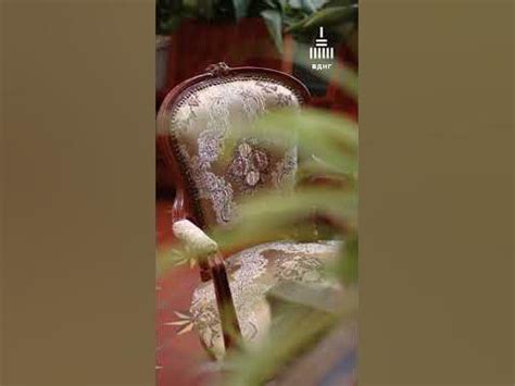 Оранжерея ВДНГ #київ #київ2023 #вднг - YouTube