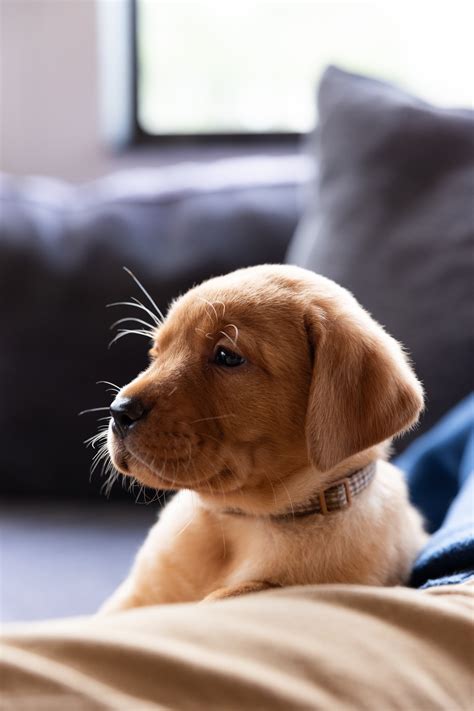 Cedar Trail Farm added a new photo. - Cedar Trail Farm