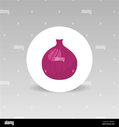 onion vector icon isolated  white background stock vector image