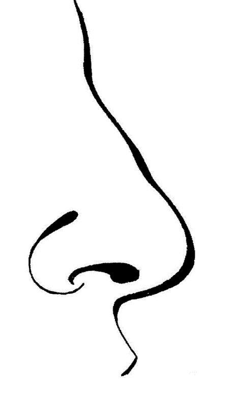 human nose drawing    clipartmag