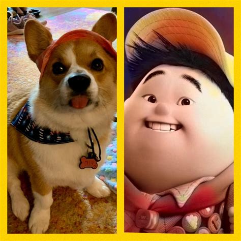 I see the resemblance : r/corgi