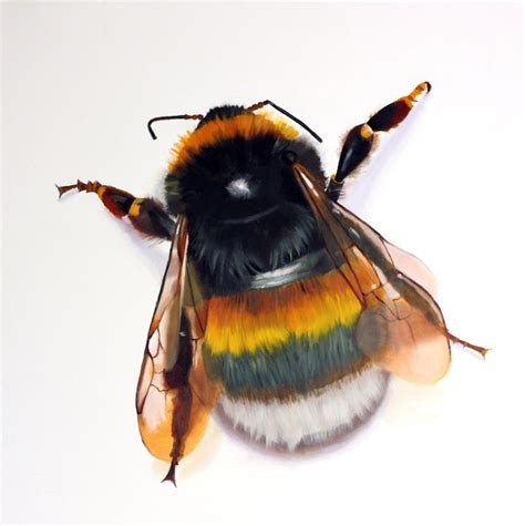 Bumble Bee Painting at PaintingValley.com | Explore collection of ...