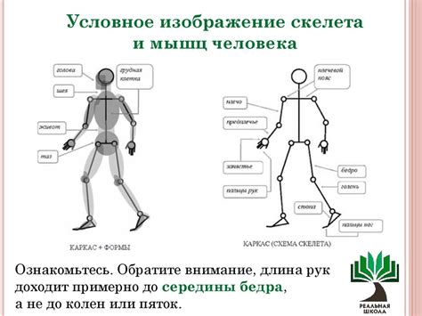 Рисунок фигуры человека - online presentation