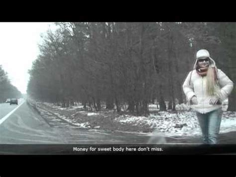 Ssaki leśne - FOREST MAMMALS - YouTube
