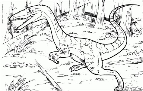 Coloring page - Coelophysis bauri